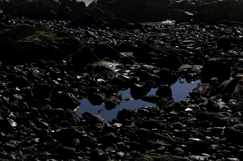 e0229455_1165923.jpg