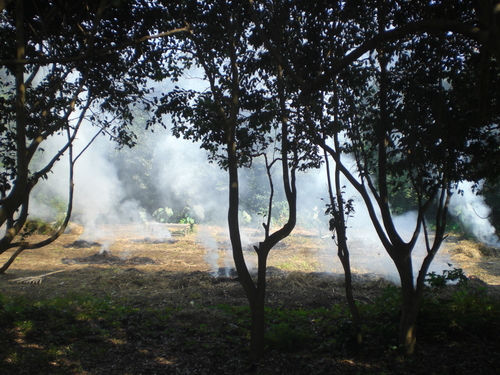 d0098363_261634.jpg
