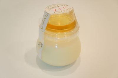 c0139765_3141942.jpg
