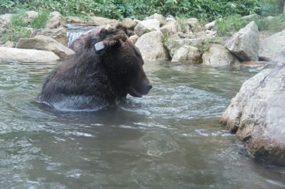 c0139765_3291130.jpg
