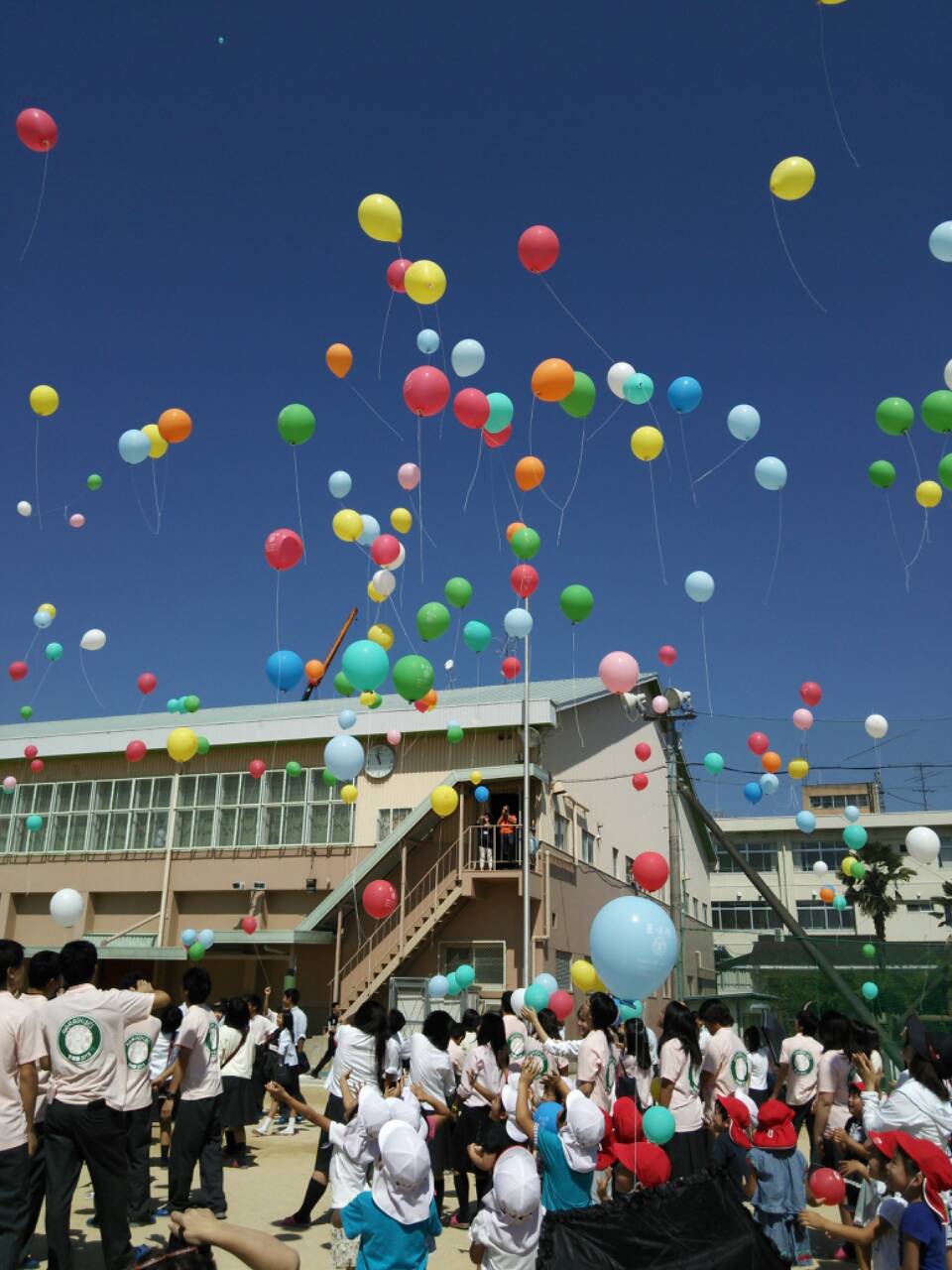 b0155370_16291825.jpg