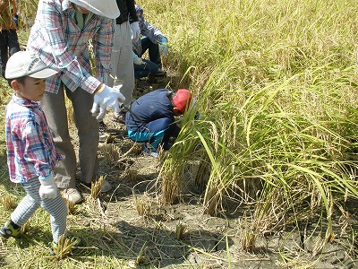 f0167672_14525312.jpg