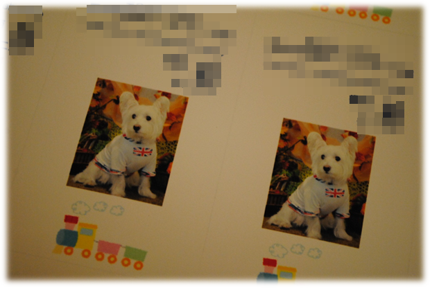 b0242873_14495657.png