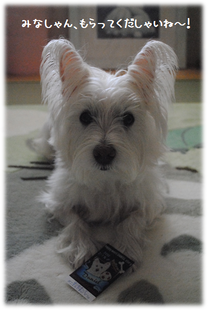 b0242873_1450317.png