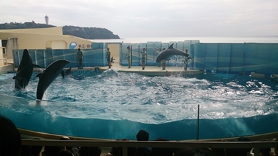 c0222474_10551693.jpg