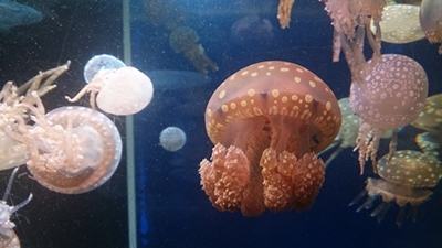 c0222474_10571688.jpg