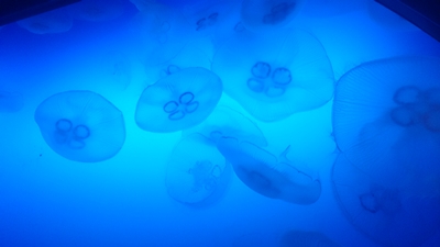 c0222474_1057261.jpg