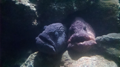 c0222474_1058672.jpg