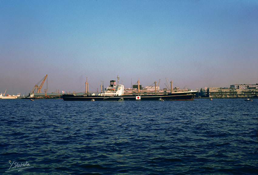 e0153076_2252312.jpg