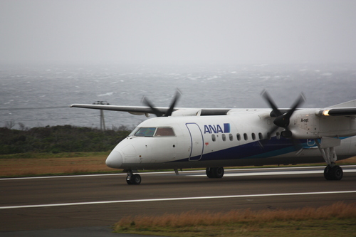 c0204385_1734984.jpg