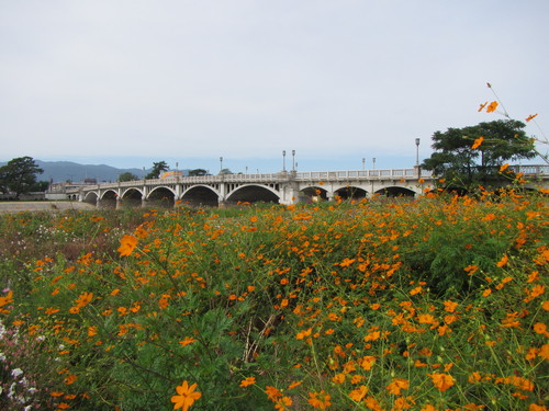 a0251786_2101267.jpg
