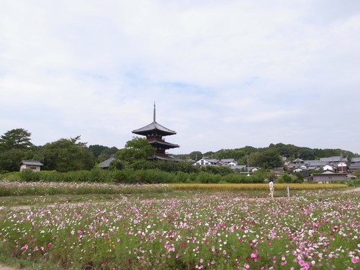 e0246788_11405448.jpg