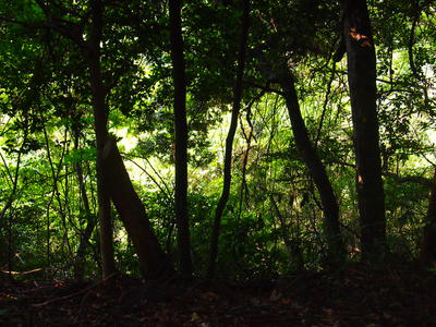 b0161391_15205229.jpg