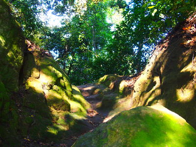 b0161391_15211386.jpg