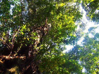 b0161391_15215767.jpg