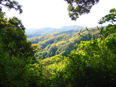 b0161391_152442100.jpg