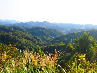b0161391_15322229.jpg