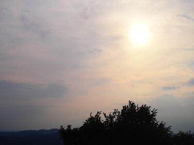 b0161391_15343138.jpg