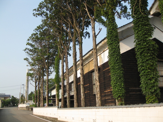 f0010195_659943.jpg