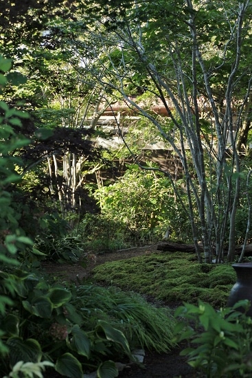 e0209997_2301799.jpg