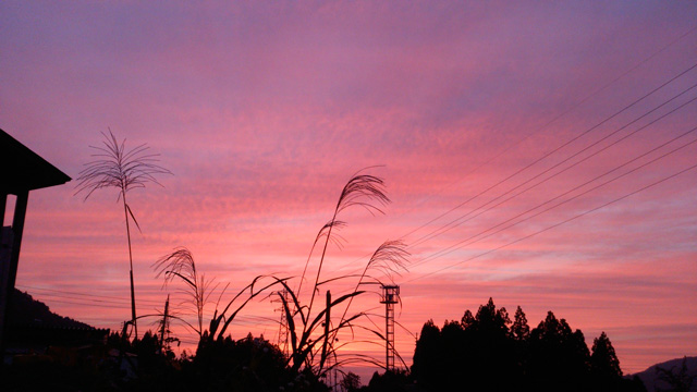 a0061599_20542878.jpg