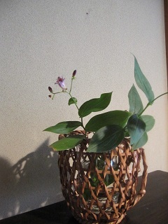 c0152002_11182615.jpg