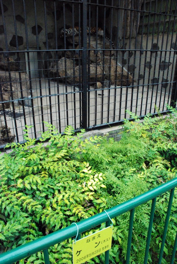 e0319302_14305630.jpg