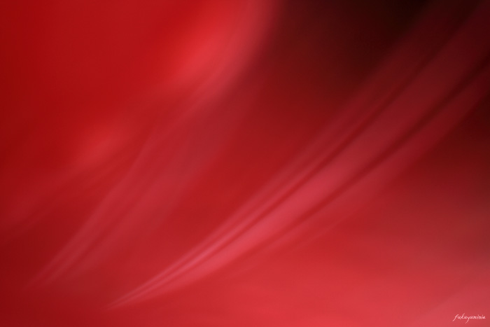 f0185802_22395399.jpg