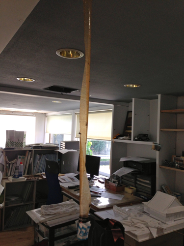 c0114110_10291471.jpg