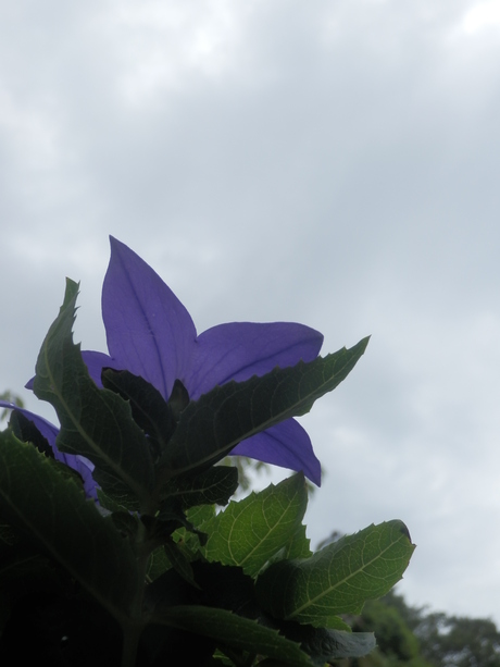 c0062511_2053626.jpg