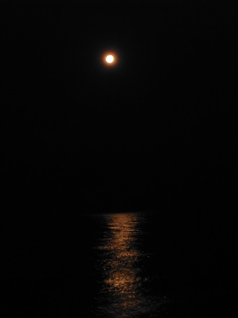 b0309813_22285924.jpg