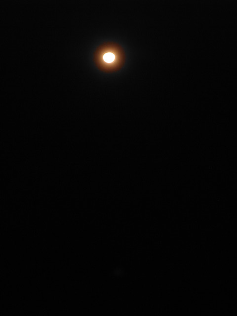 b0309813_22292270.jpg