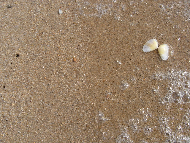 b0309813_22344530.jpg