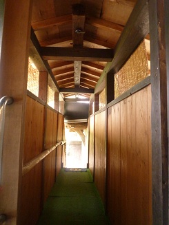 f0031420_526740.jpg