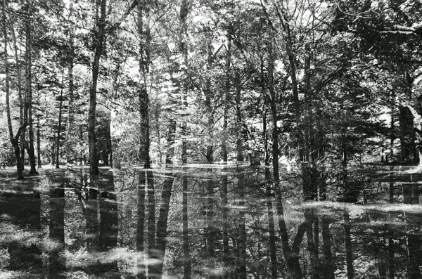 f0182924_21535659.jpg