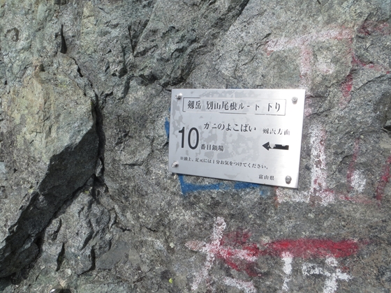 f0040525_2035375.jpg