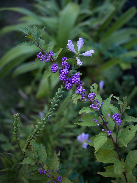b0134829_18401570.jpg