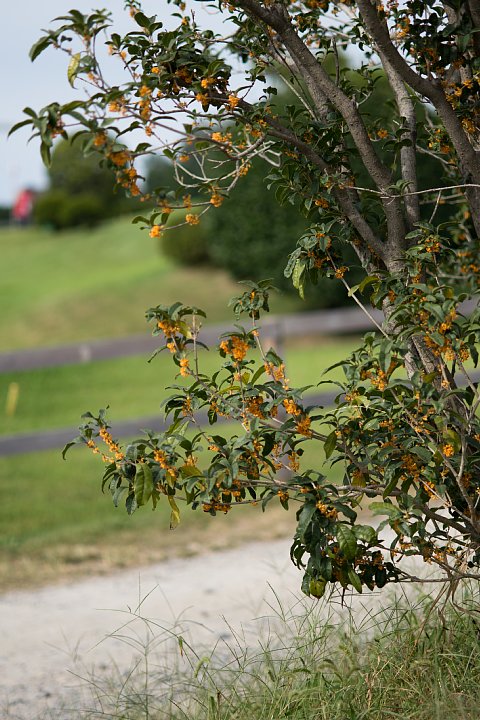 b0134829_18492488.jpg