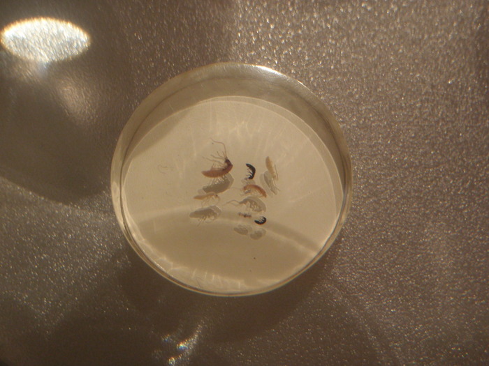 c0034029_22143690.jpg