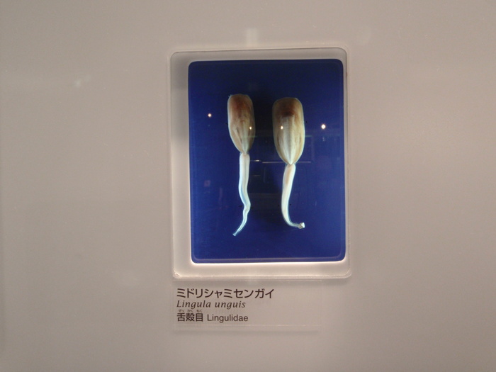 c0034029_23382395.jpg