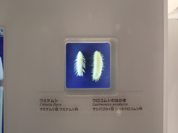 c0034029_23383510.jpg