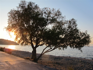 f0224632_2345961.jpg