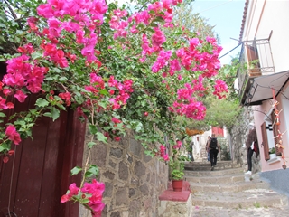 f0224632_2348861.jpg