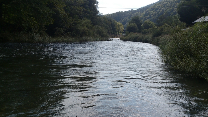 c0133133_1549478.jpg