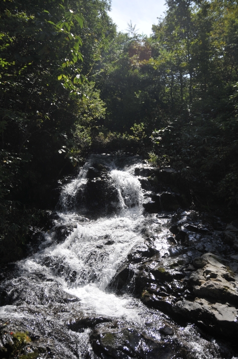 c0133133_1634114.jpg