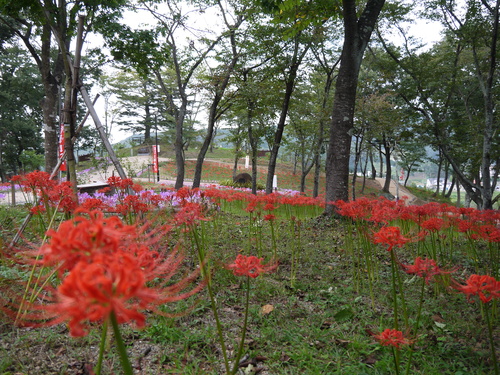 c0195439_0501111.jpg