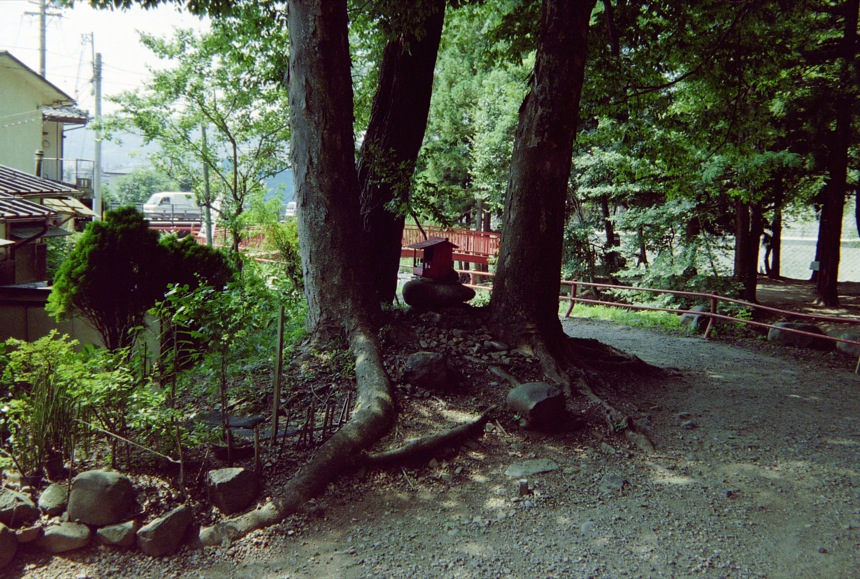 d0089742_0564888.jpg