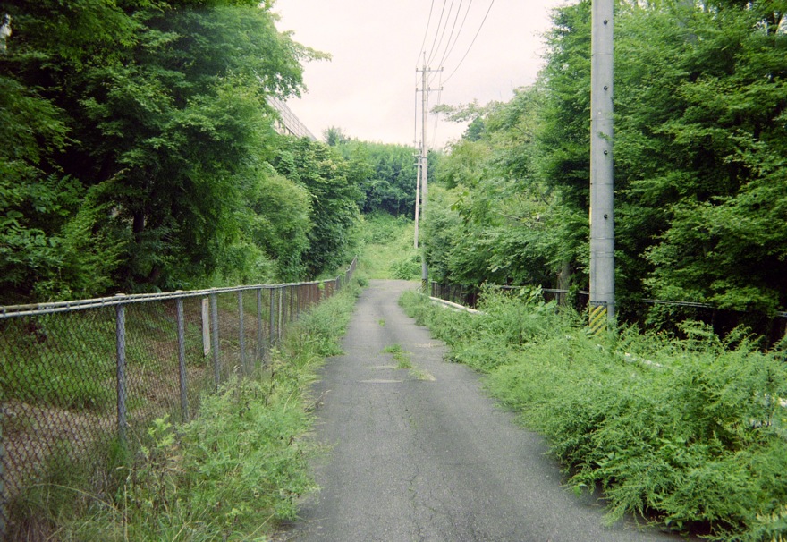 d0089742_1181188.jpg