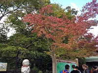 f0065542_14465845.jpg