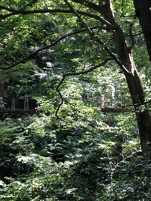 f0065542_1450180.jpg